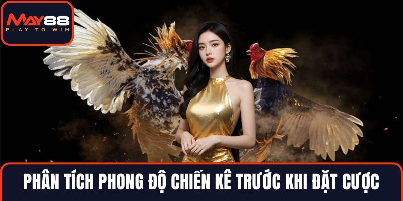 Phân tích phong độ chiến kê trước khi đặt cược