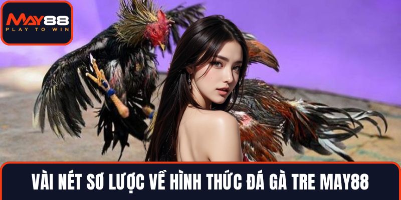 Vài nét sơ lược về hình thức đá gà tre MAY88